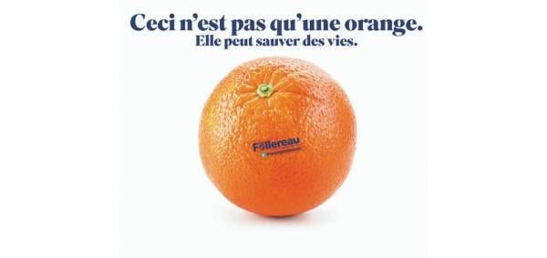 Mobilisez-vous pour les chrétiens coptes