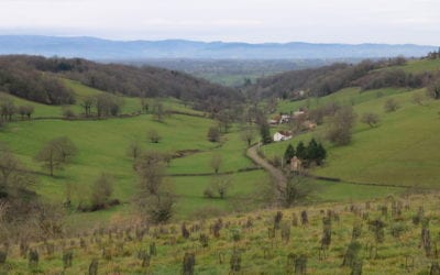 France : L’histoire de trois entrepreneurs en milieu rural