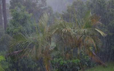 Madagascar : Le cyclone Batsirai a ravagé la côte Est de l’île
