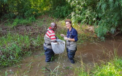 Alexandra Boccarossa : au fil de l’eau, la recherche sur l’ulcère de Buruli