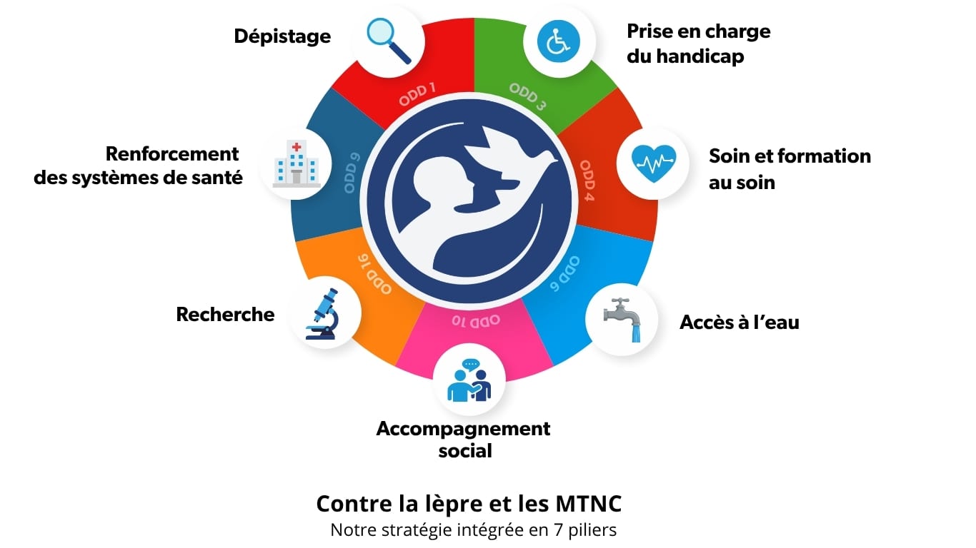 Nos 7 piliers d'intervention