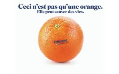 Mobilisez-vous pour les chrétiens coptes