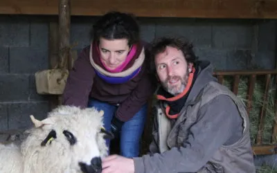 L’accueil en milieu paysan ou la vulnérabilité partagée