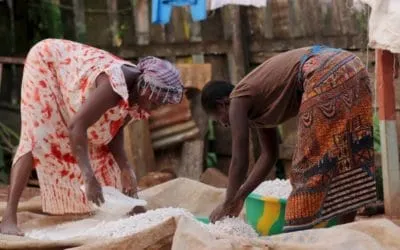 Congo-Brazzaville : Un risque exponentiel de crise alimentaire chez les plus pauvres