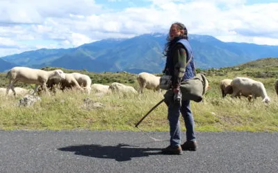La passion d’une bergère en pays catalan