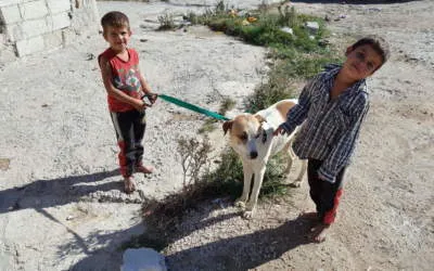 Syrie : « Comment soigner les blessures de la guerre ? »