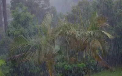 Madagascar : Le cyclone Batsirai a ravagé la côte Est de l’île