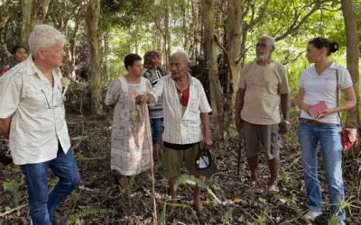Nouvelle-Calédonie : une alliance renforcée pour éliminer la lèpre