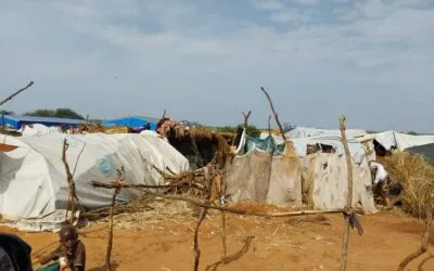 Tchad : les enjeux sanitaires dans les camps de réfugiés